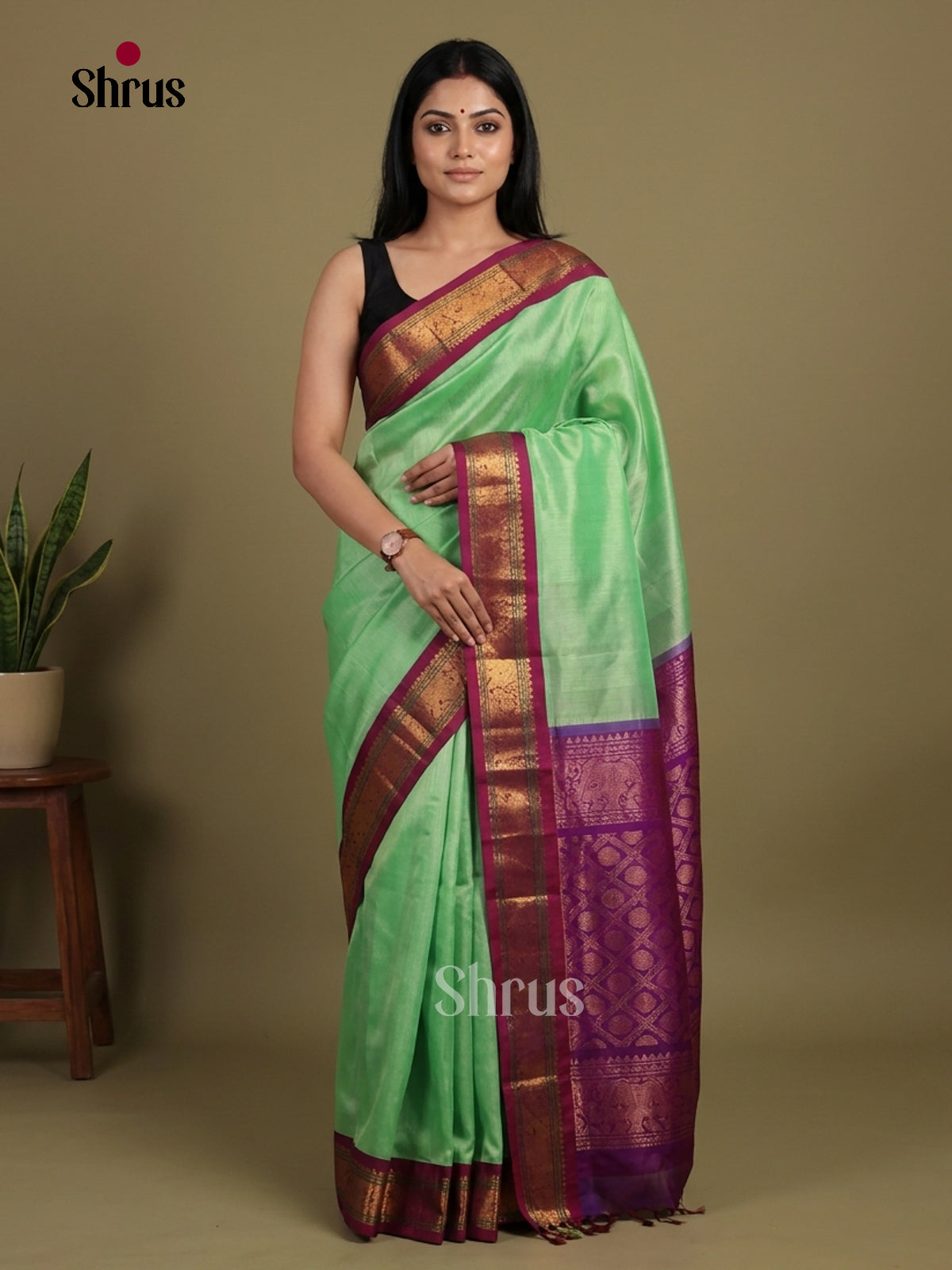 Silk Cotton Saree - EI01242