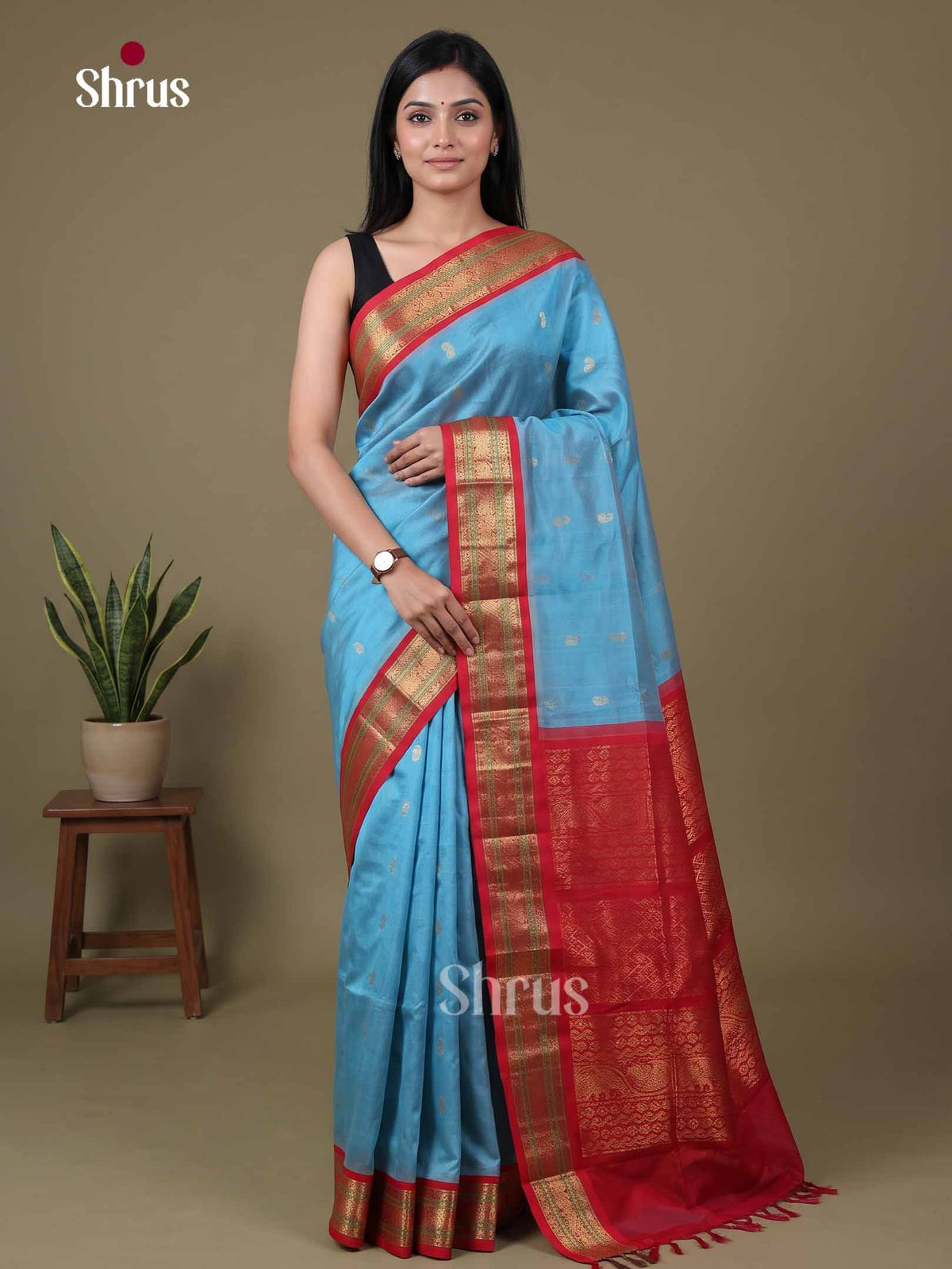 Silk Cotton Saree - EI01244