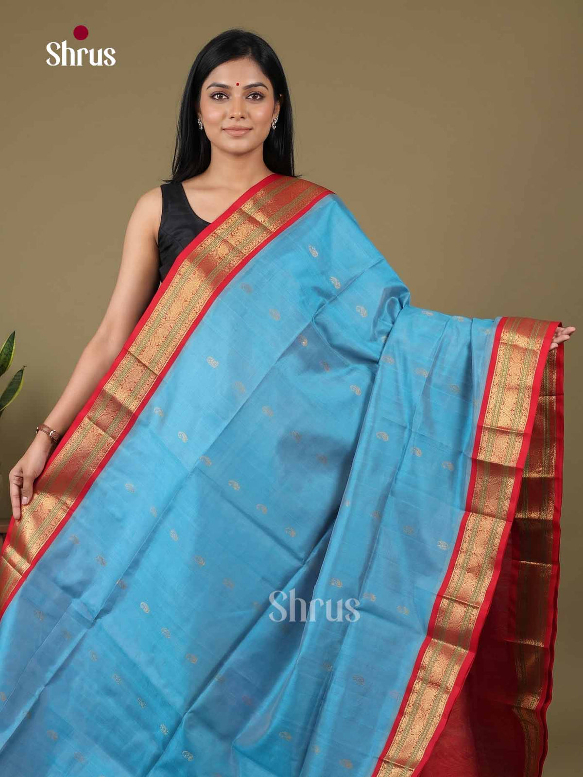 Silk Cotton Saree - EI01244