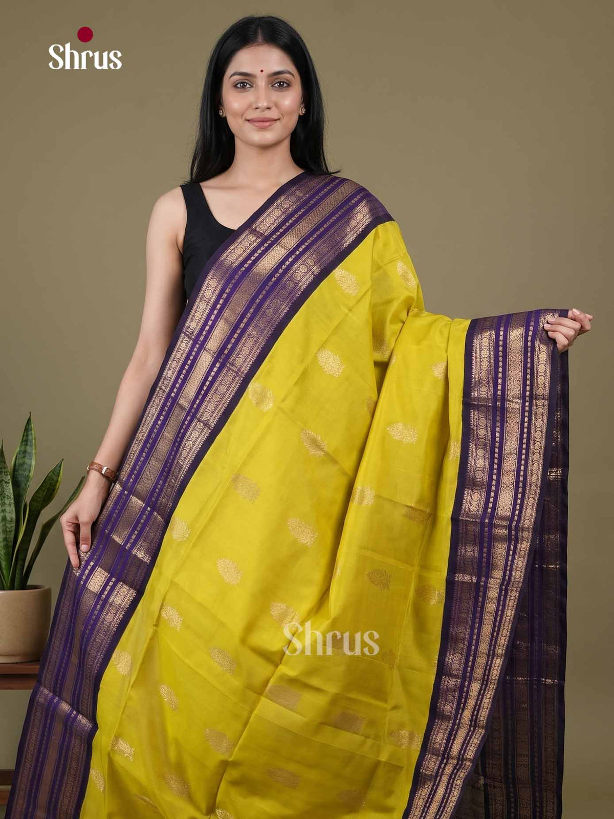 Silk Cotton Saree - EI01255