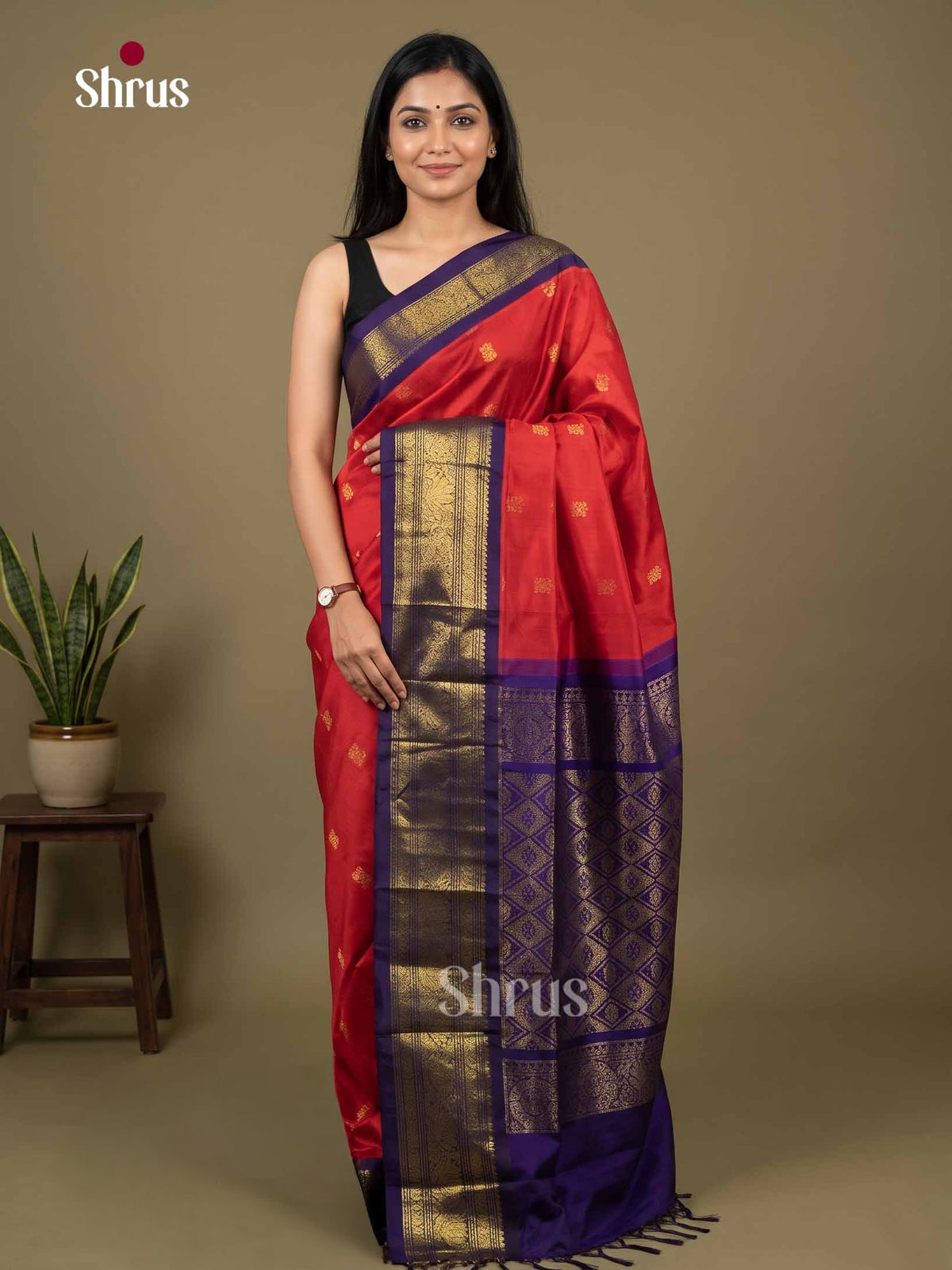 Silk Cotton Saree - EI01260