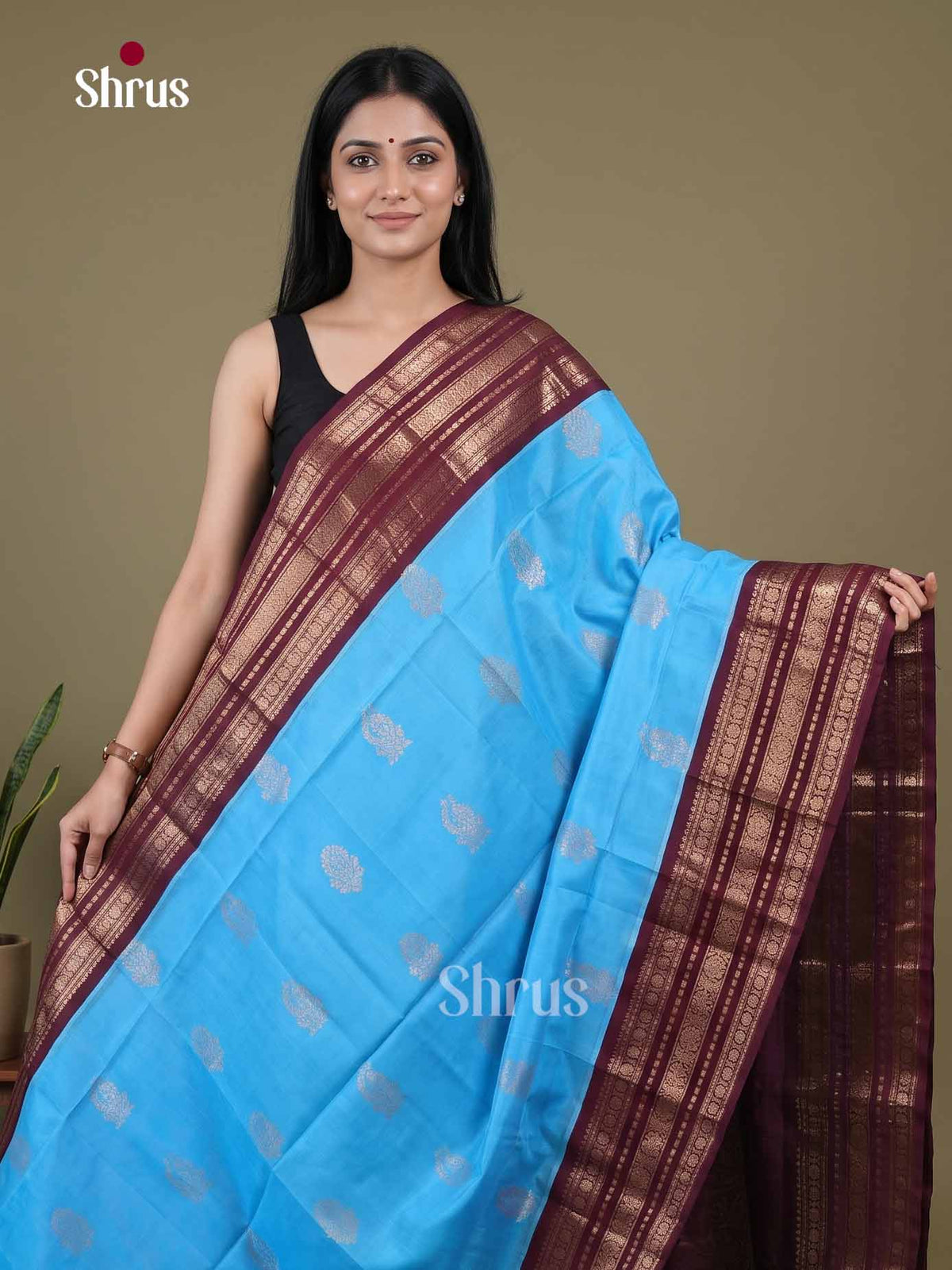 Silk Cotton Saree - EI01264