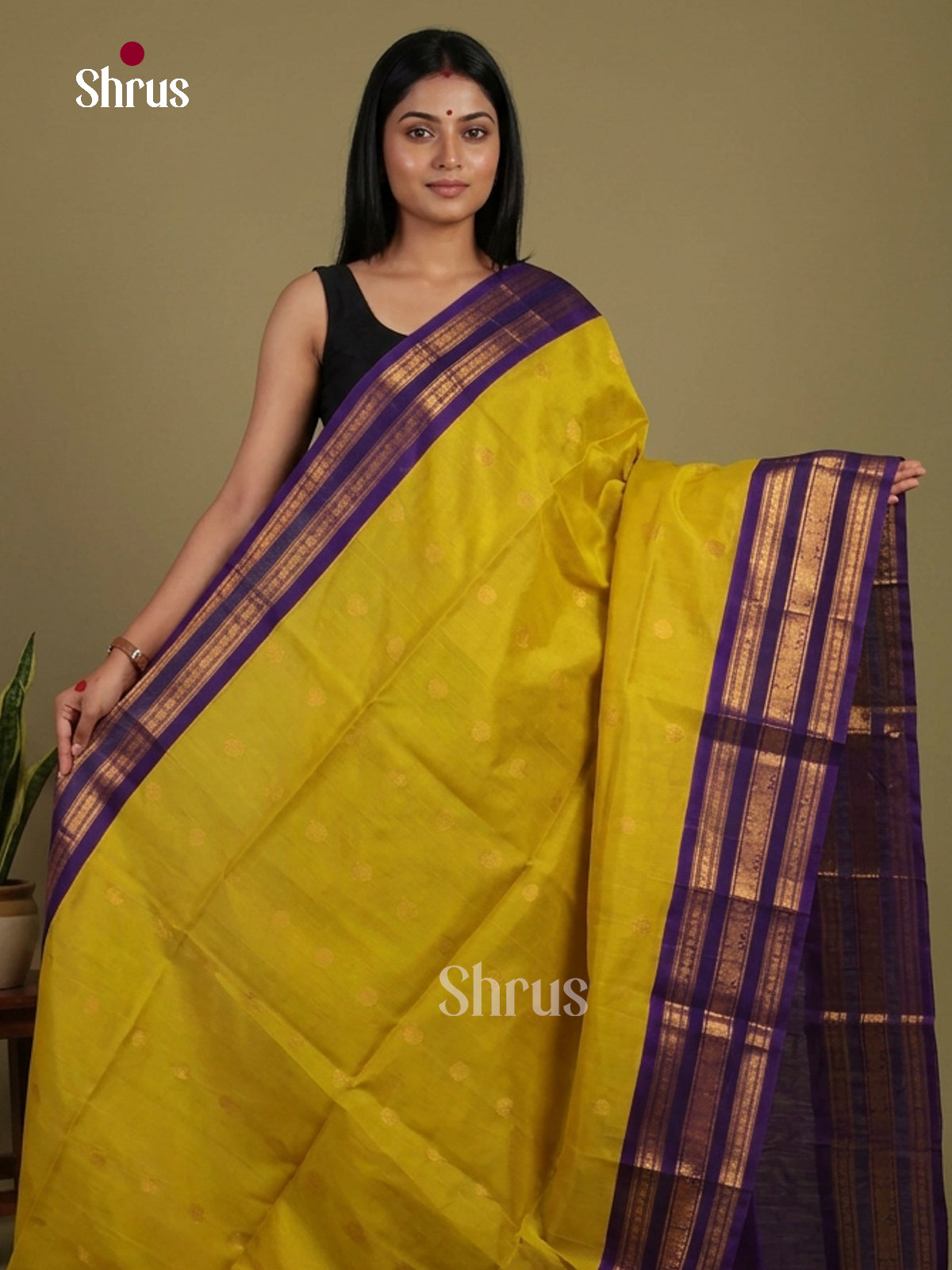 Silk Cotton Saree - EI01278