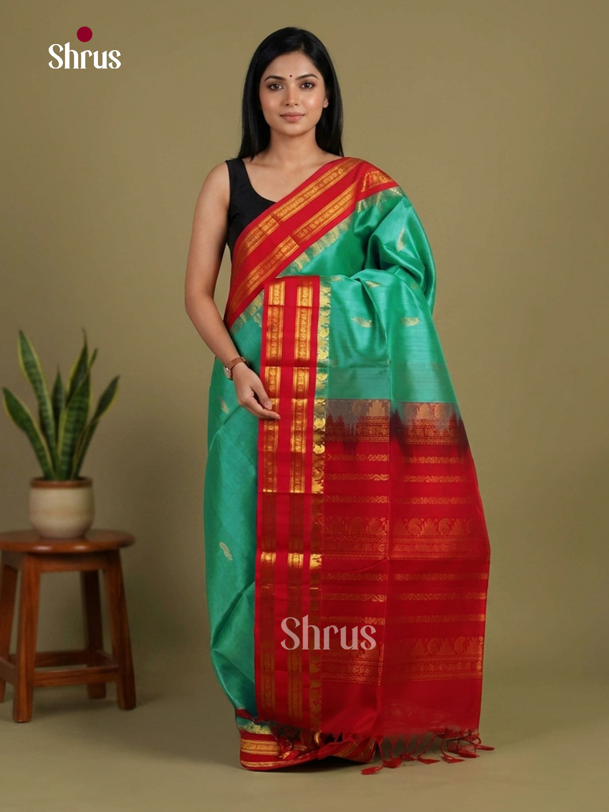 Silk Cotton Saree - EI01279