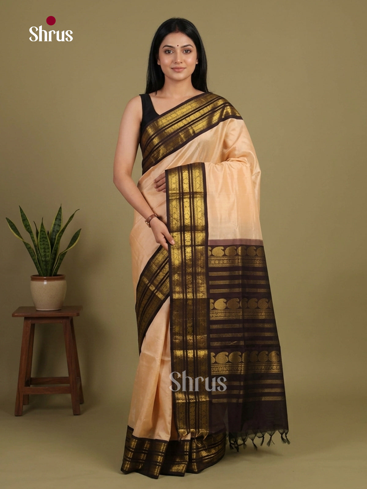 Silk Cotton Saree - EI01280