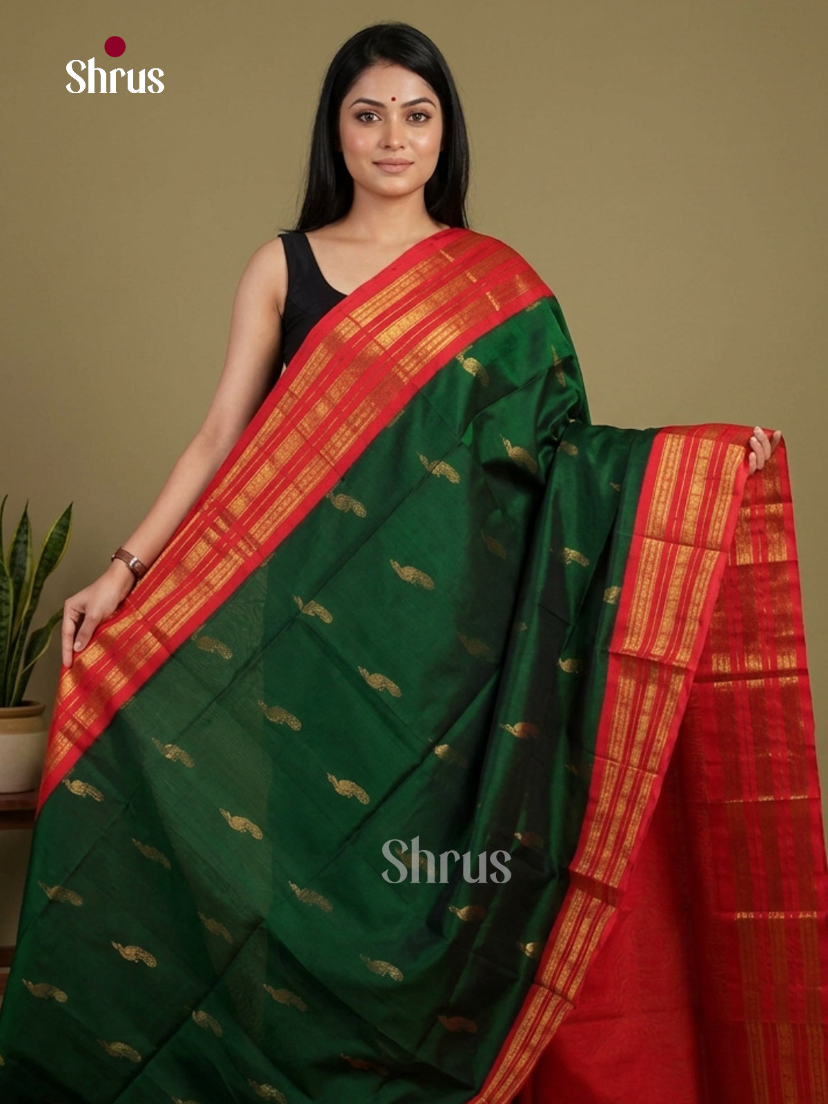 Silk Cotton Saree - EI01284