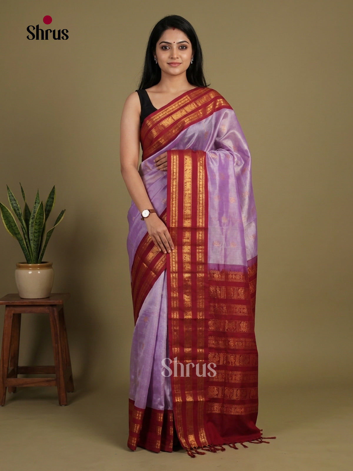 Pretty Lavender & maroon Silk Cotton Saree with gold zari buttas & korvai zari Border