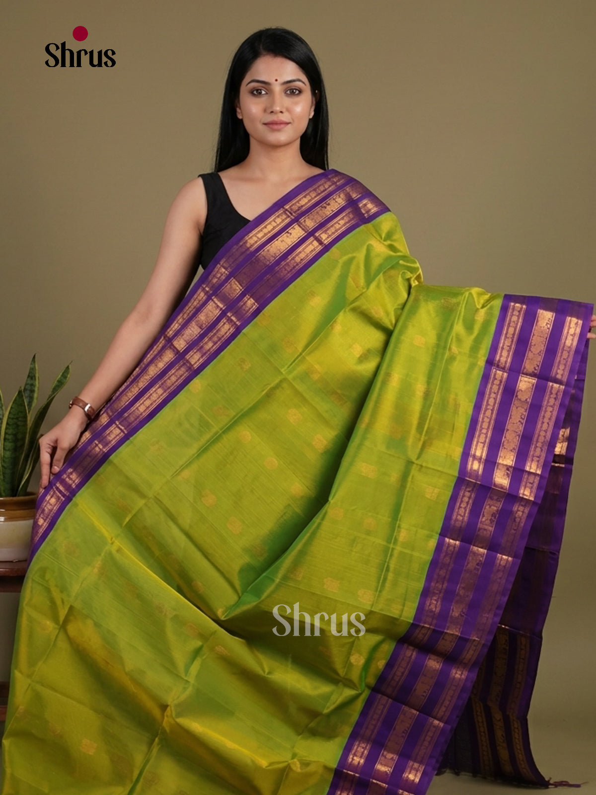 Serene Light Green & Blue Silk Cotton Saree with zari buttas & korvai border