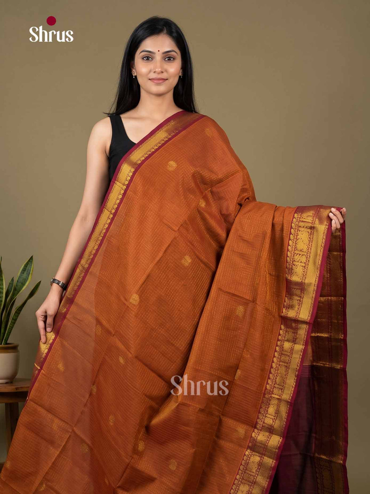 Silk Cotton Saree - EI01375