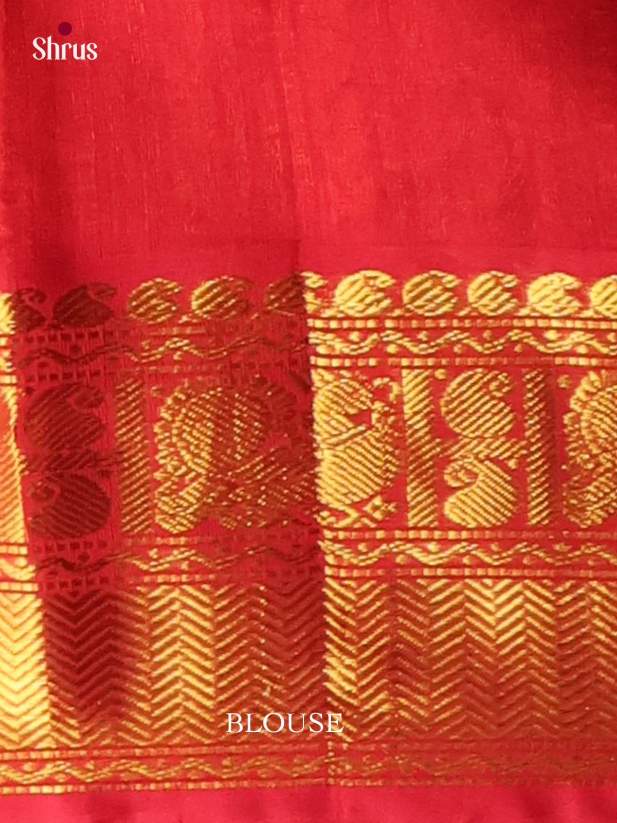 Silk Cotton Saree - EI01391