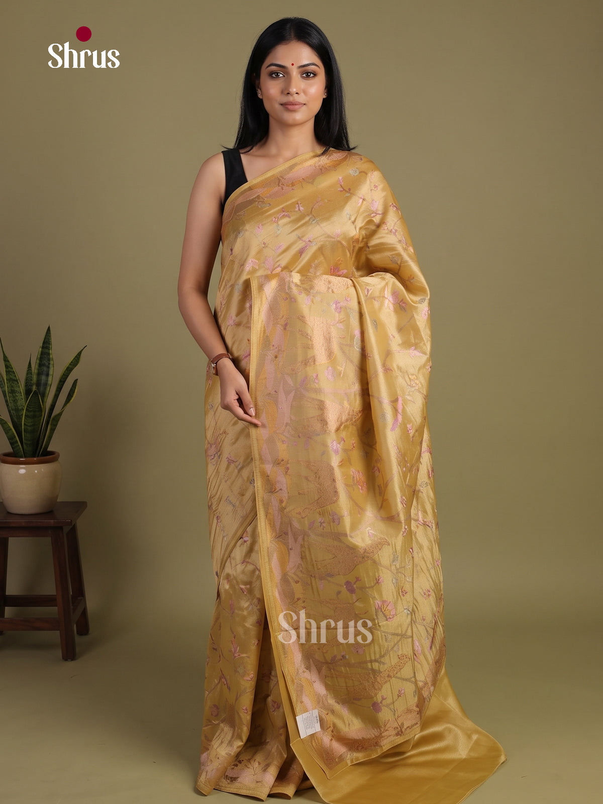 Tissue Embroidery Saree - EI01506