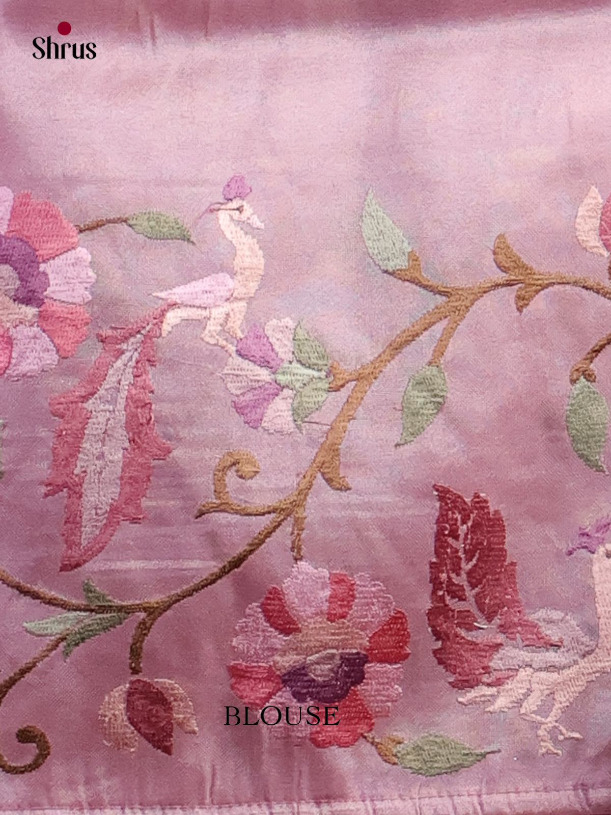Tissue Embroidery Saree - EI01571