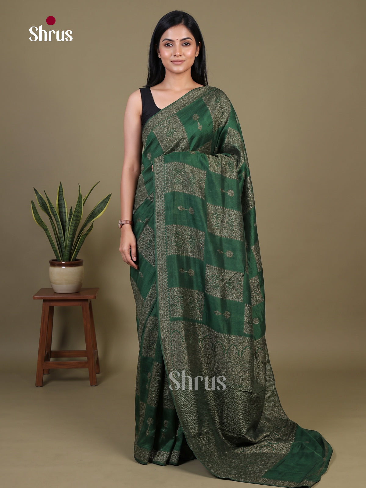 Banarasi Saree - EI02004