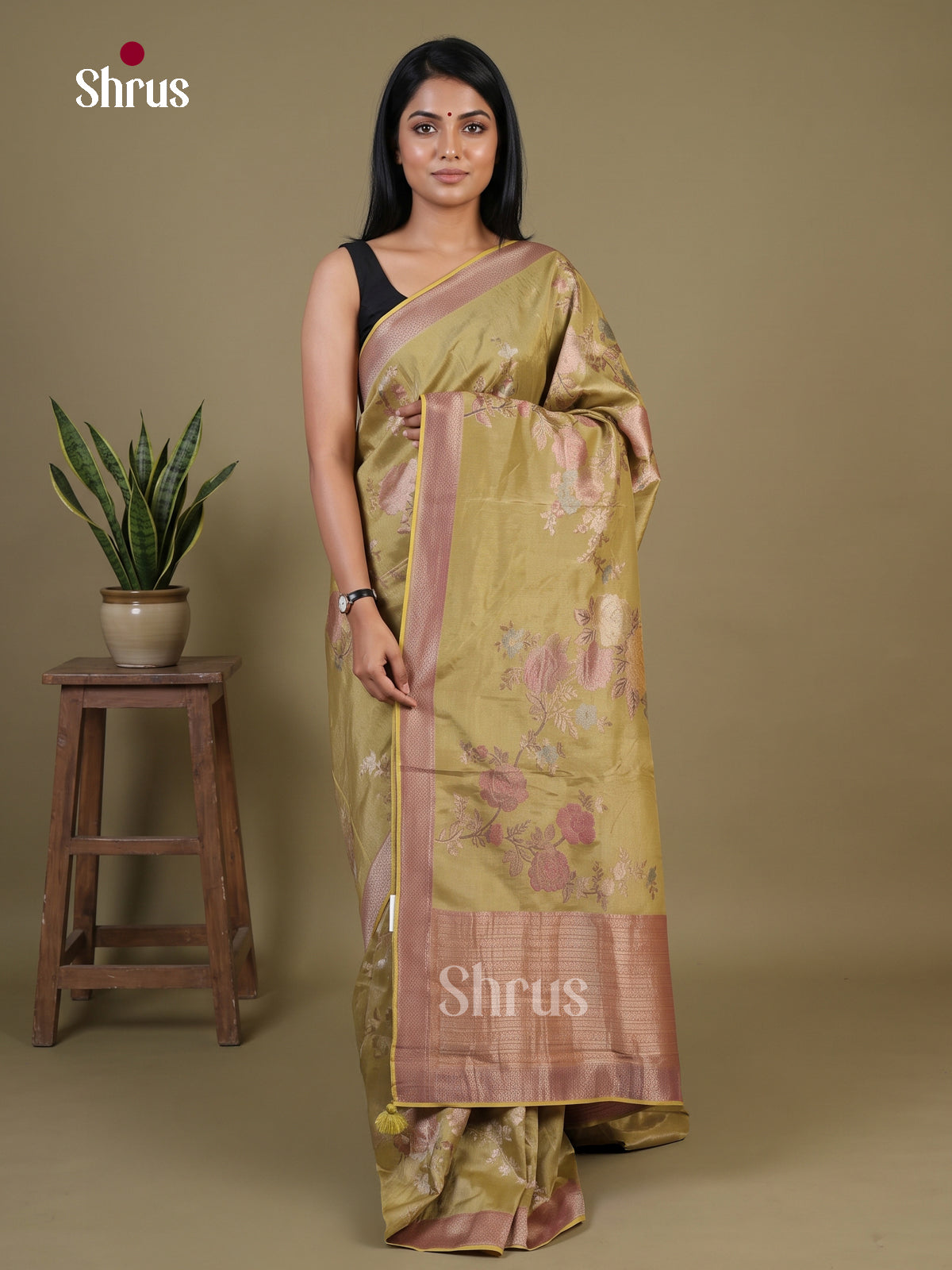 Banarasi Saree - EI02008