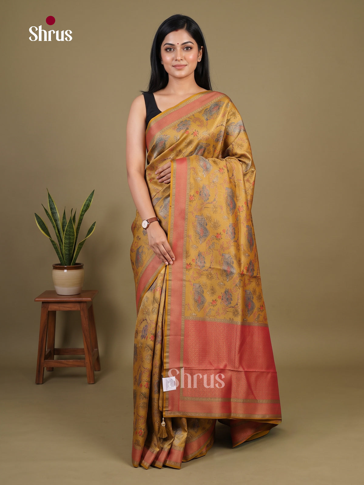 Banarasi Saree - EI02012