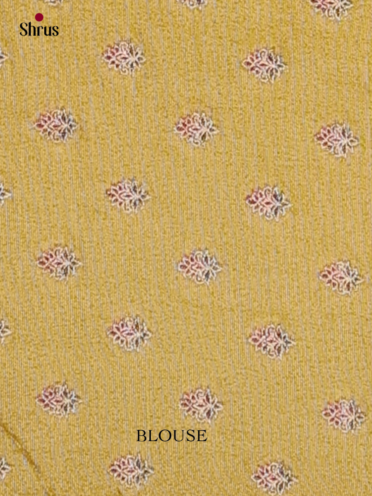 Banarasi Saree - EI02013