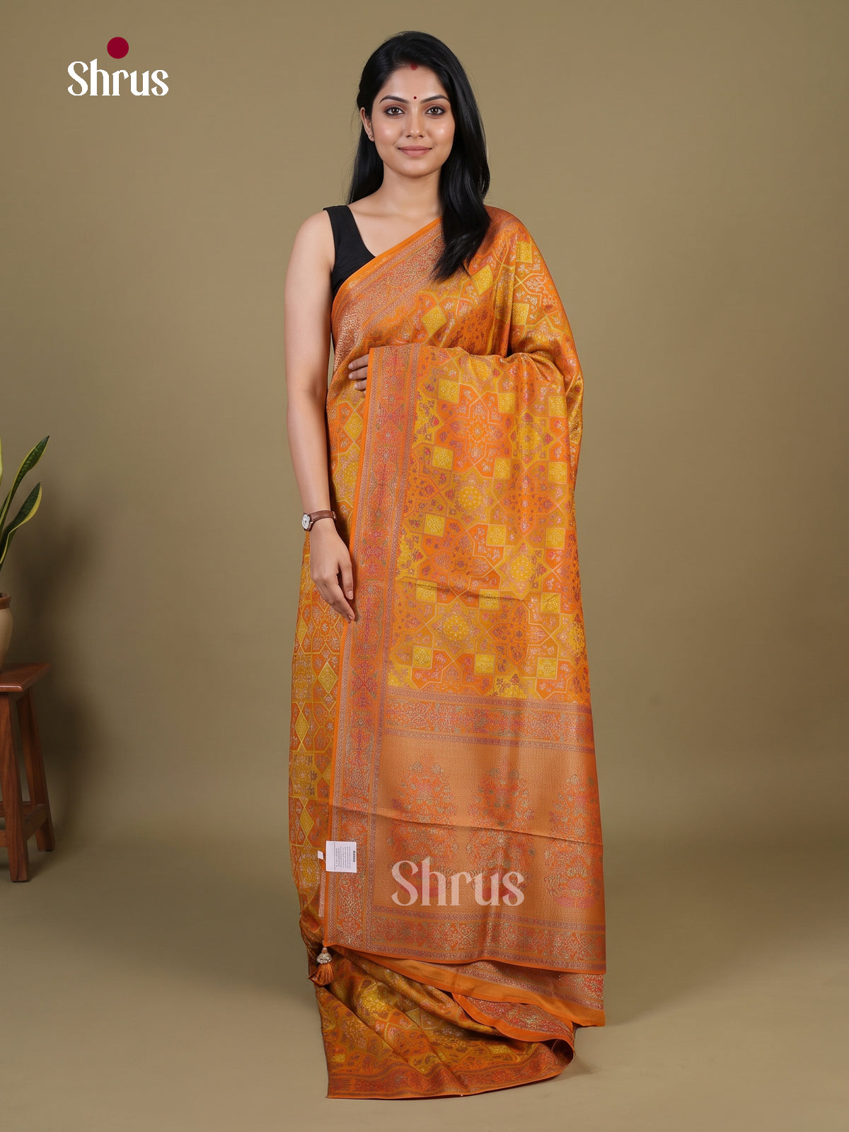 Banarasi Saree - EI02020