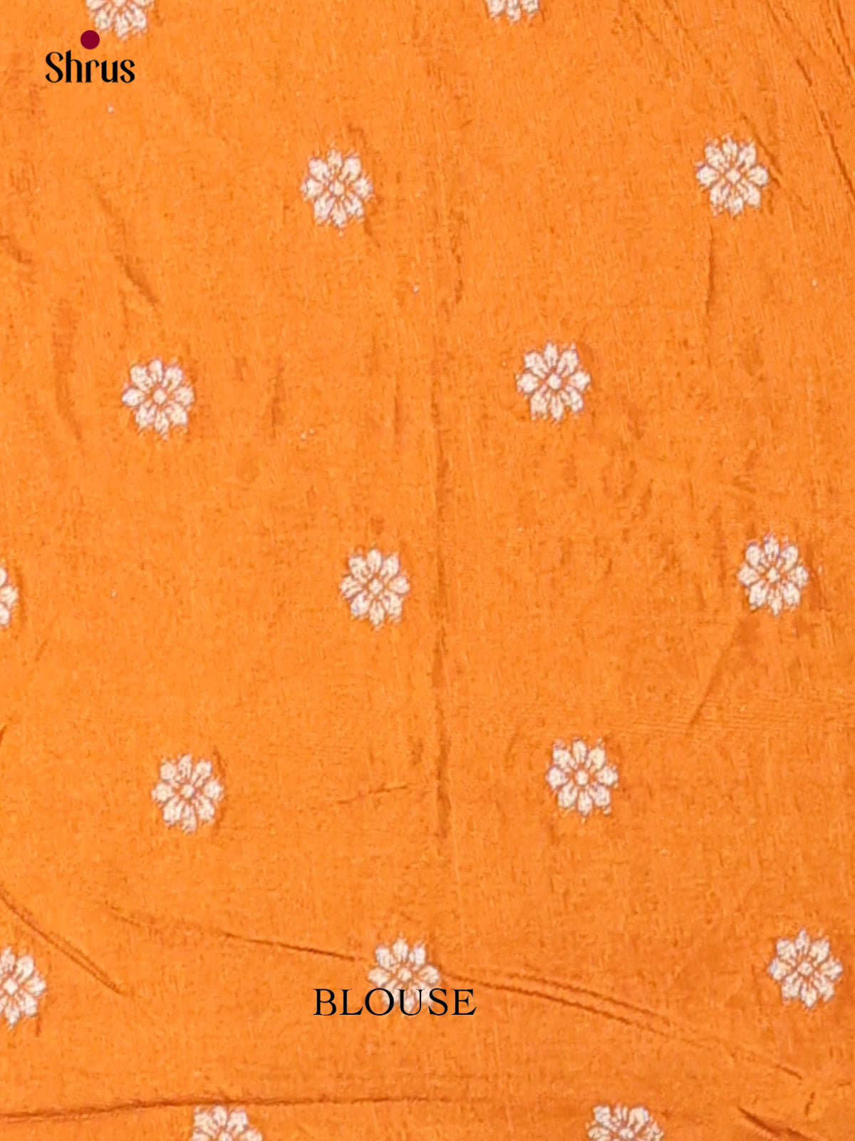 Banarasi Saree - EI02020