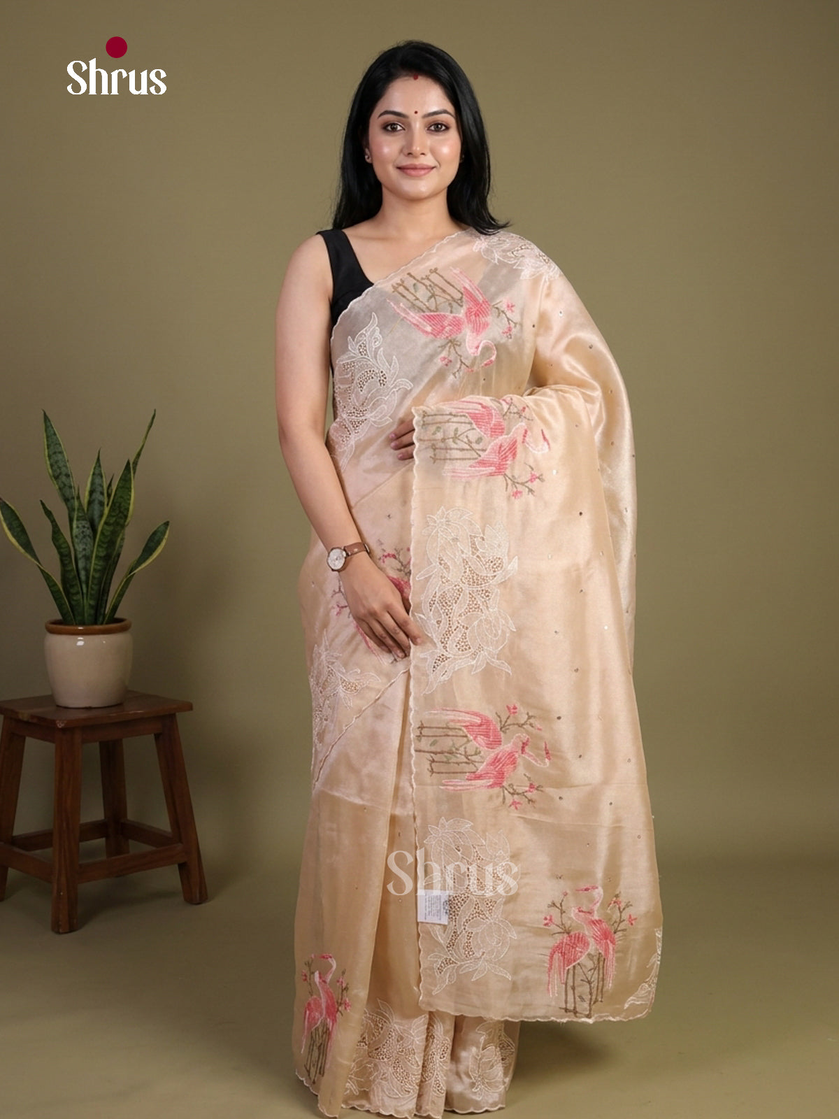 Tissue Embroidery Saree - EI02157