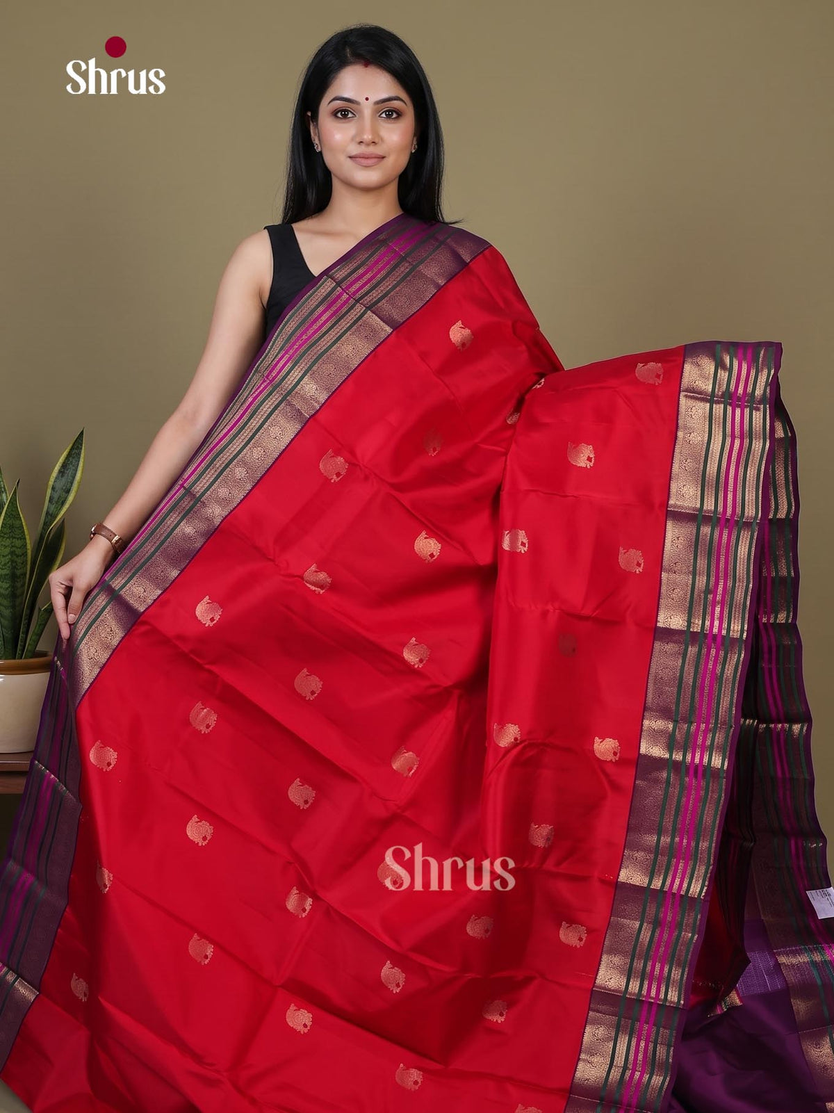Kanchipuram silk Saree - EI02347