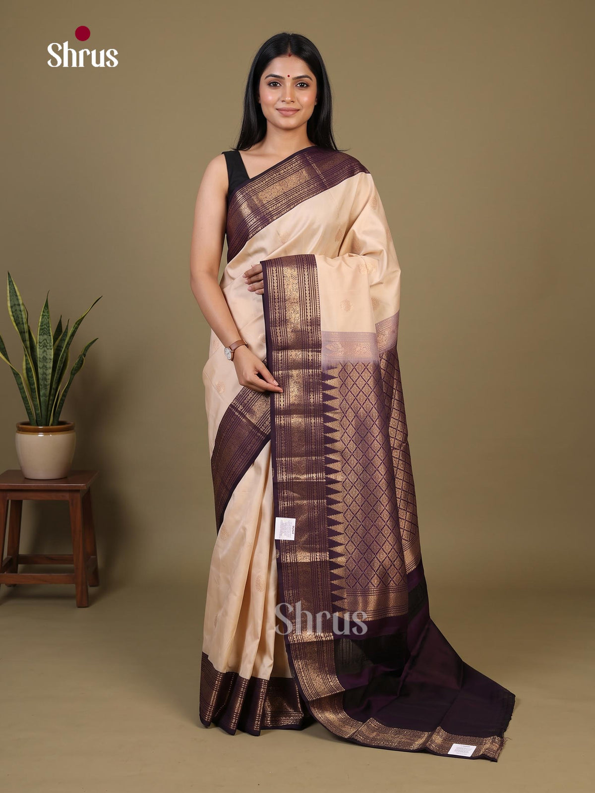 Kanchipuram silk Saree - EI02350