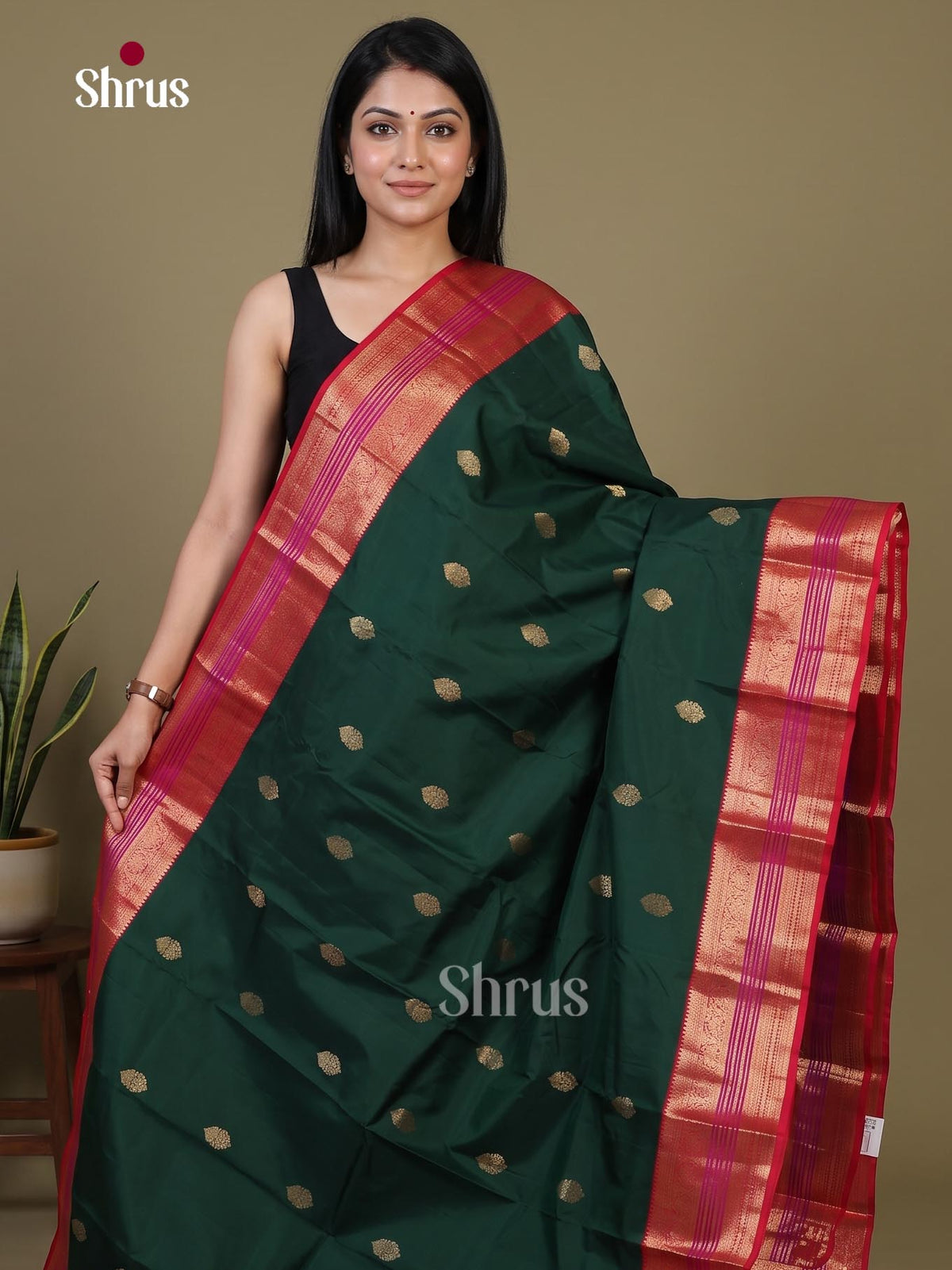 Kanchipuram silk Saree - EI02360