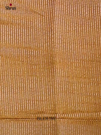 Semi Rawsilk Saree - EI07269