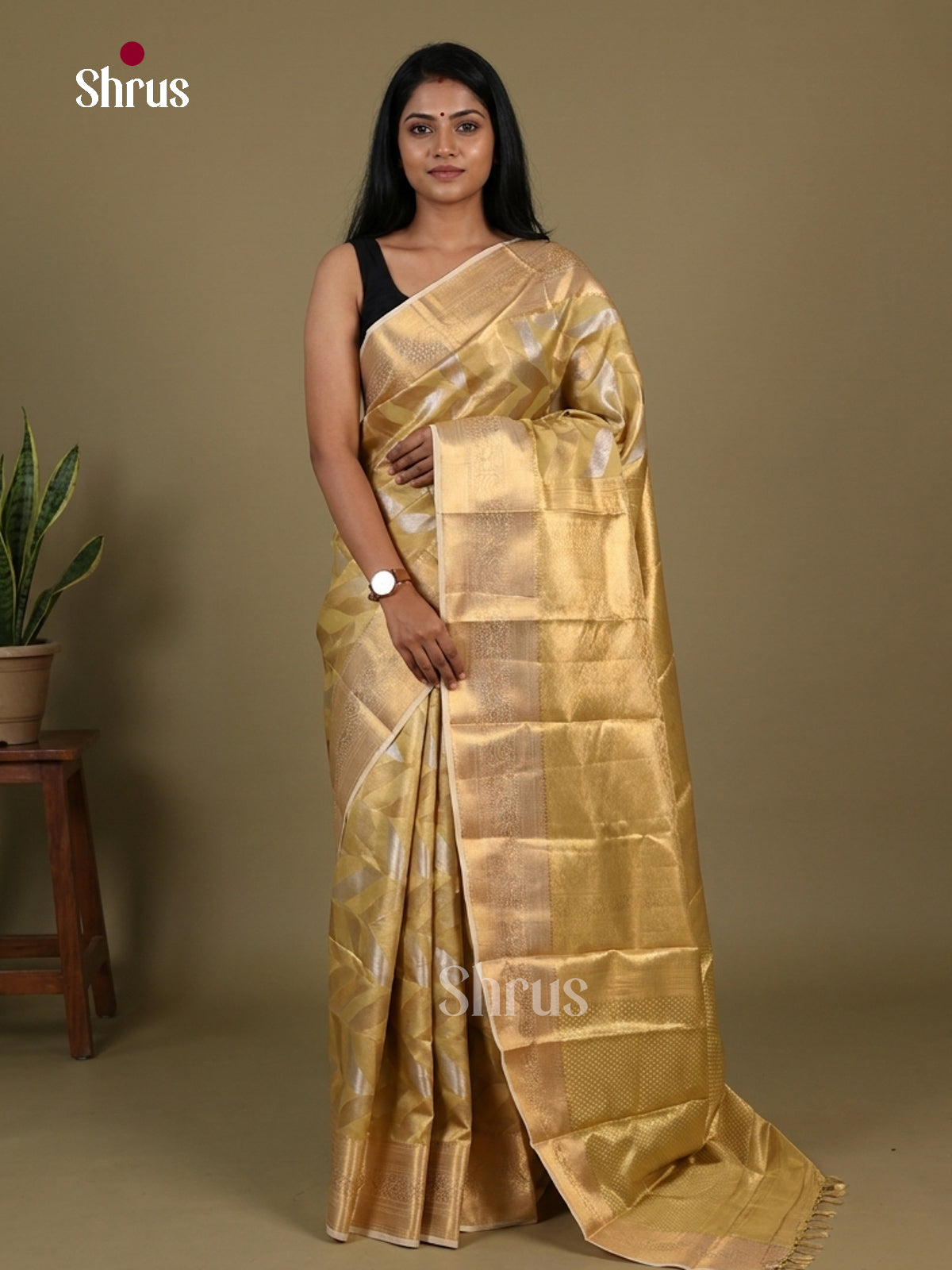 Kanchipuram-halfpure Saree - EI08042