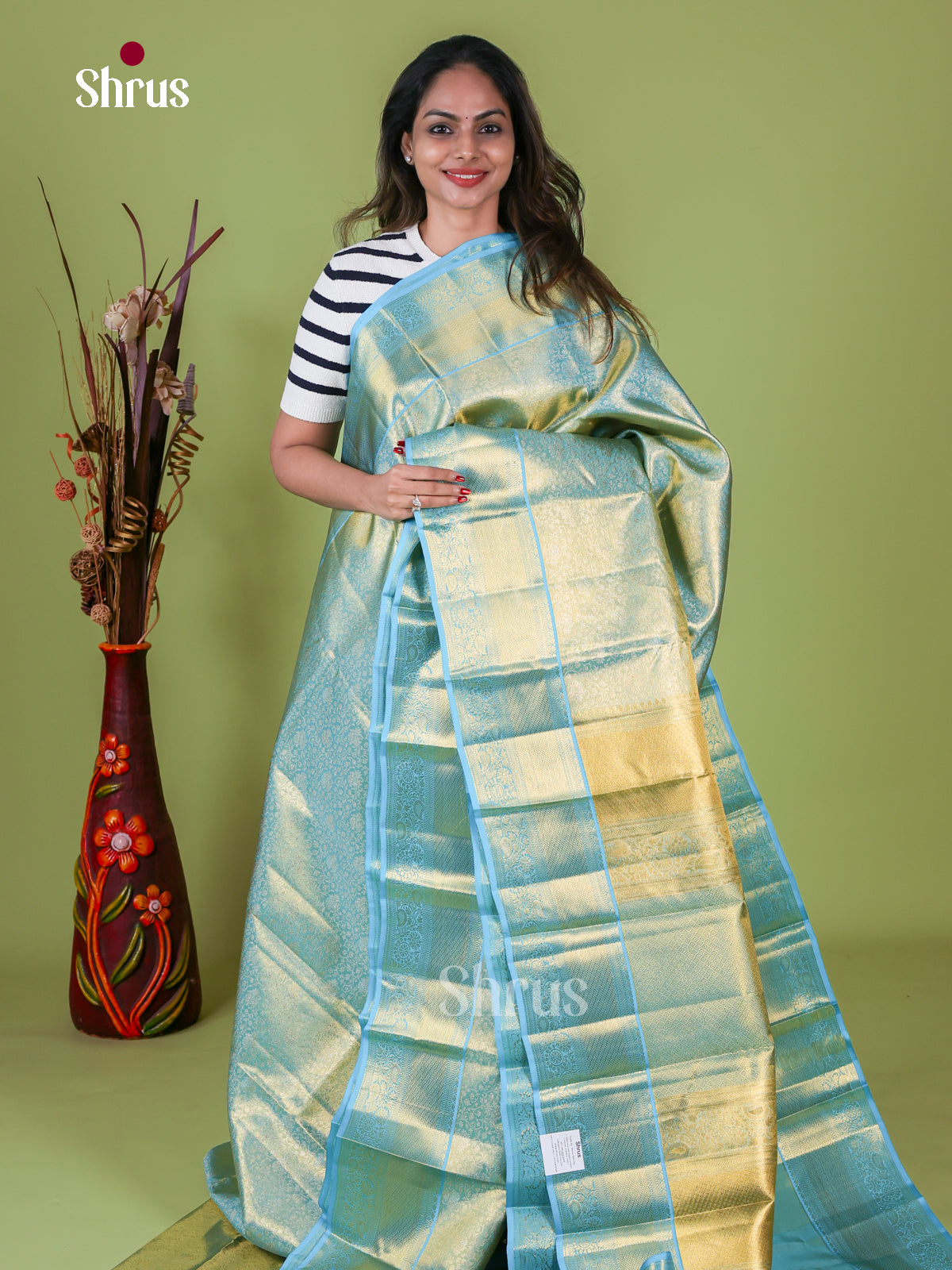 Kanchipuram silk Saree - EI08170