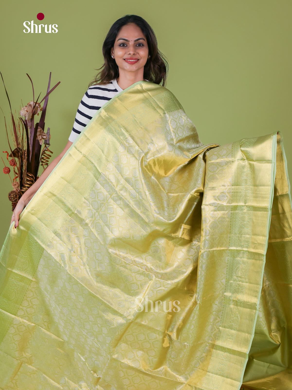 Kanchipuram silk Saree - EI08190