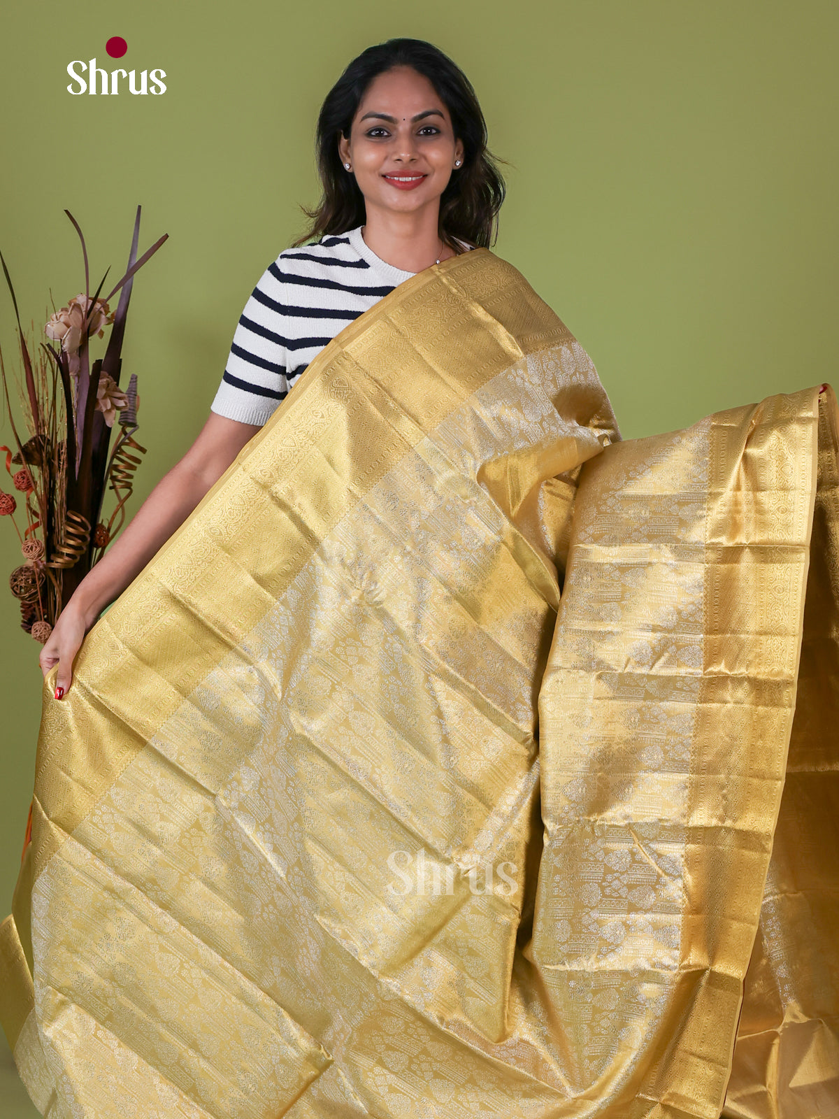Kanchipuram silk Saree - EI08194