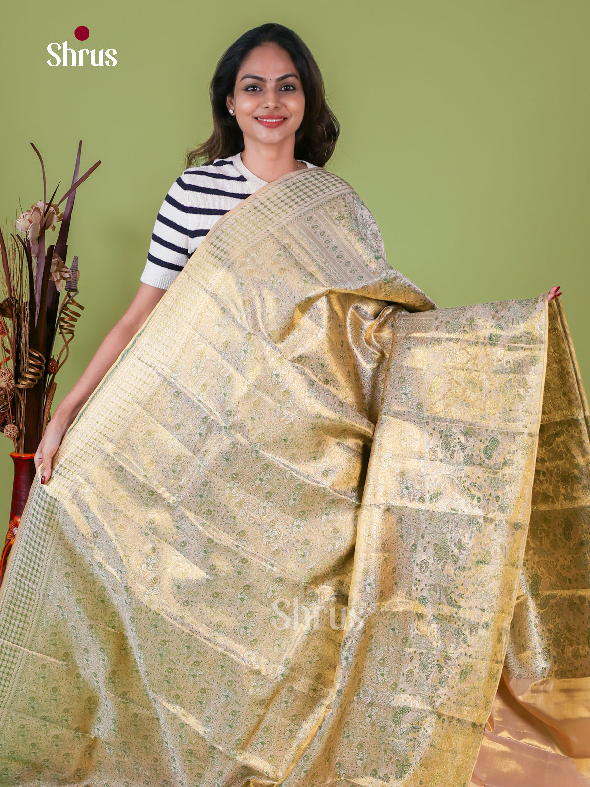 Kanchipuram silk Saree - EI08200