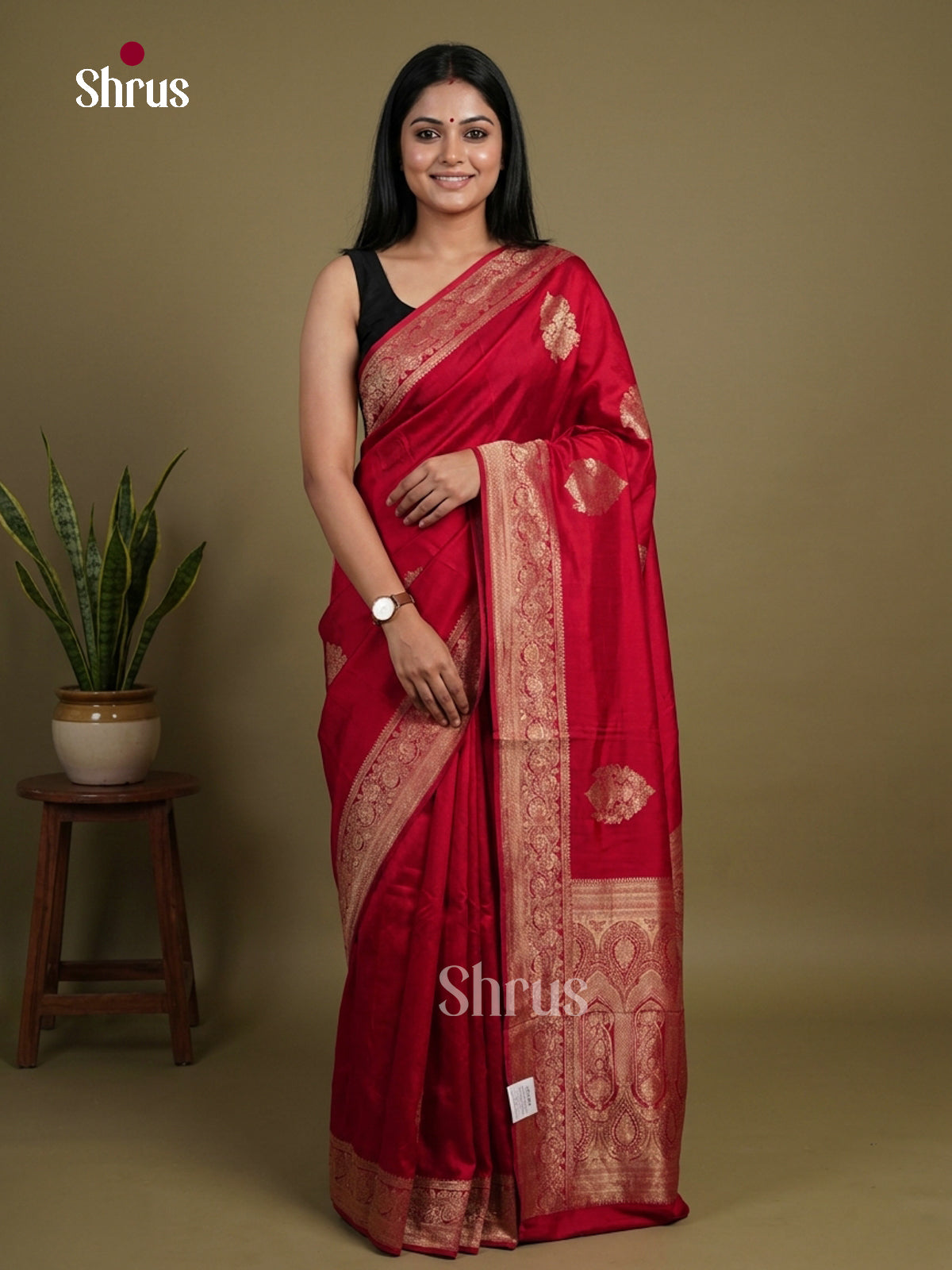 Banarasi Saree - EI12001