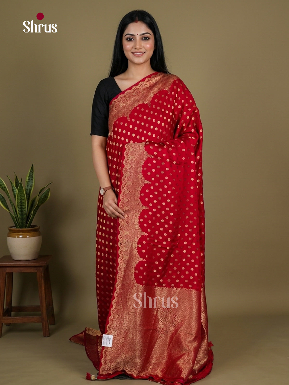 Banarasi Saree - EI12004