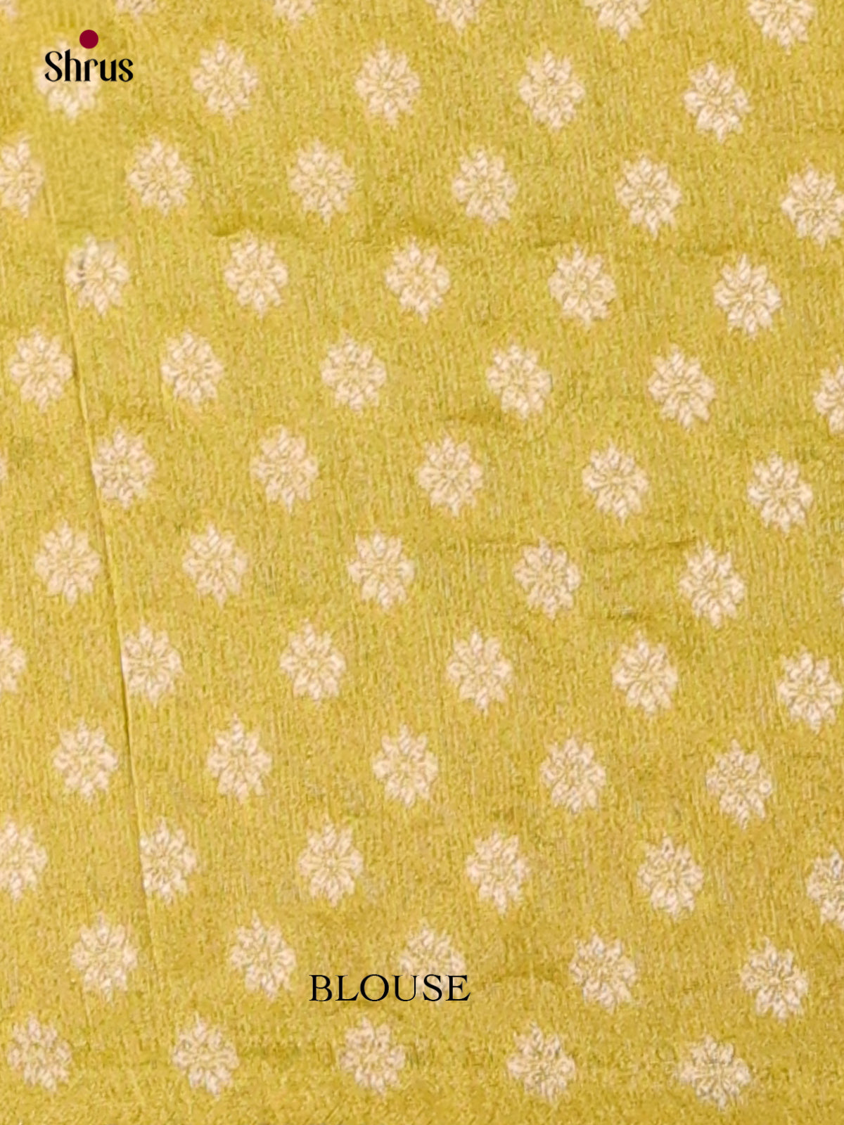 Banarasi Saree - EI12009