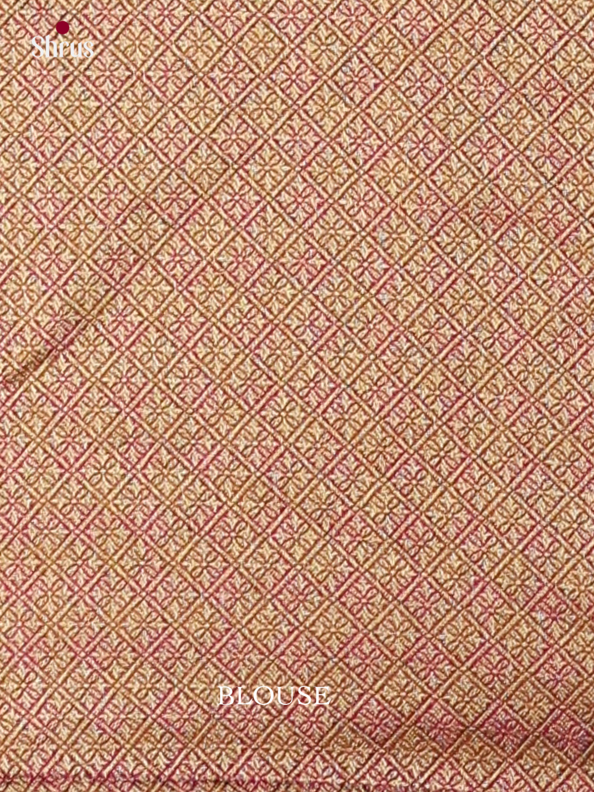 Banarasi Saree - EI12021