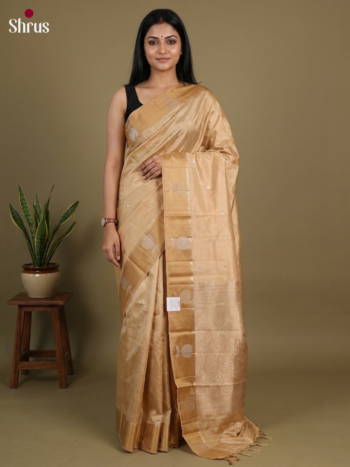 Apoorva Silk Saree - EI16076