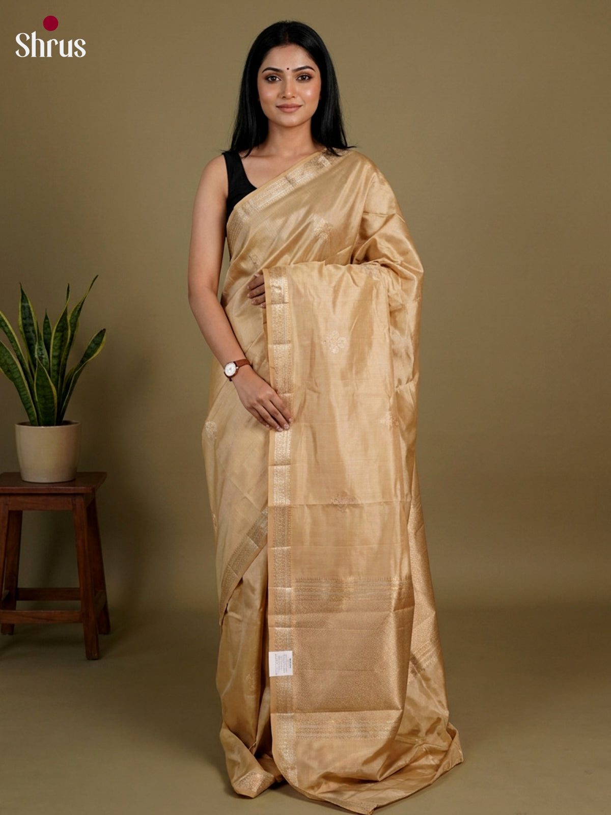 Apoorva Silk Saree - EI16100