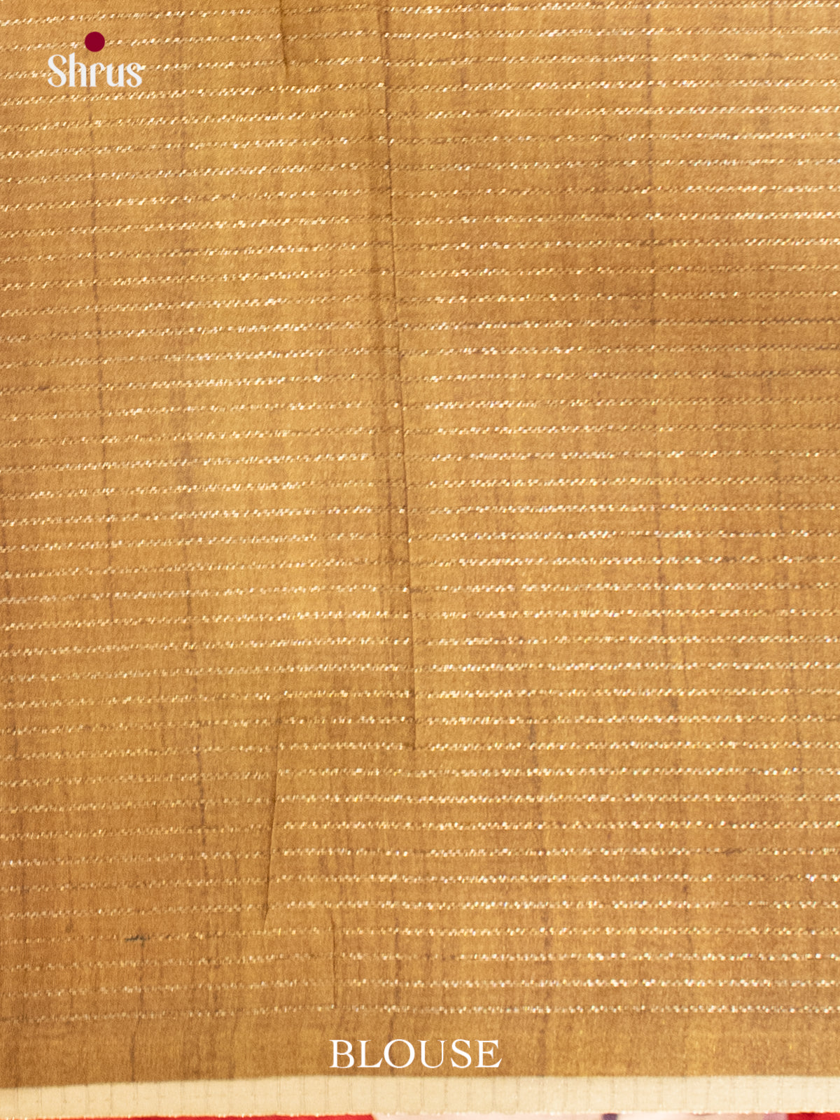 Printed Semi Tussar Saree - EI17099