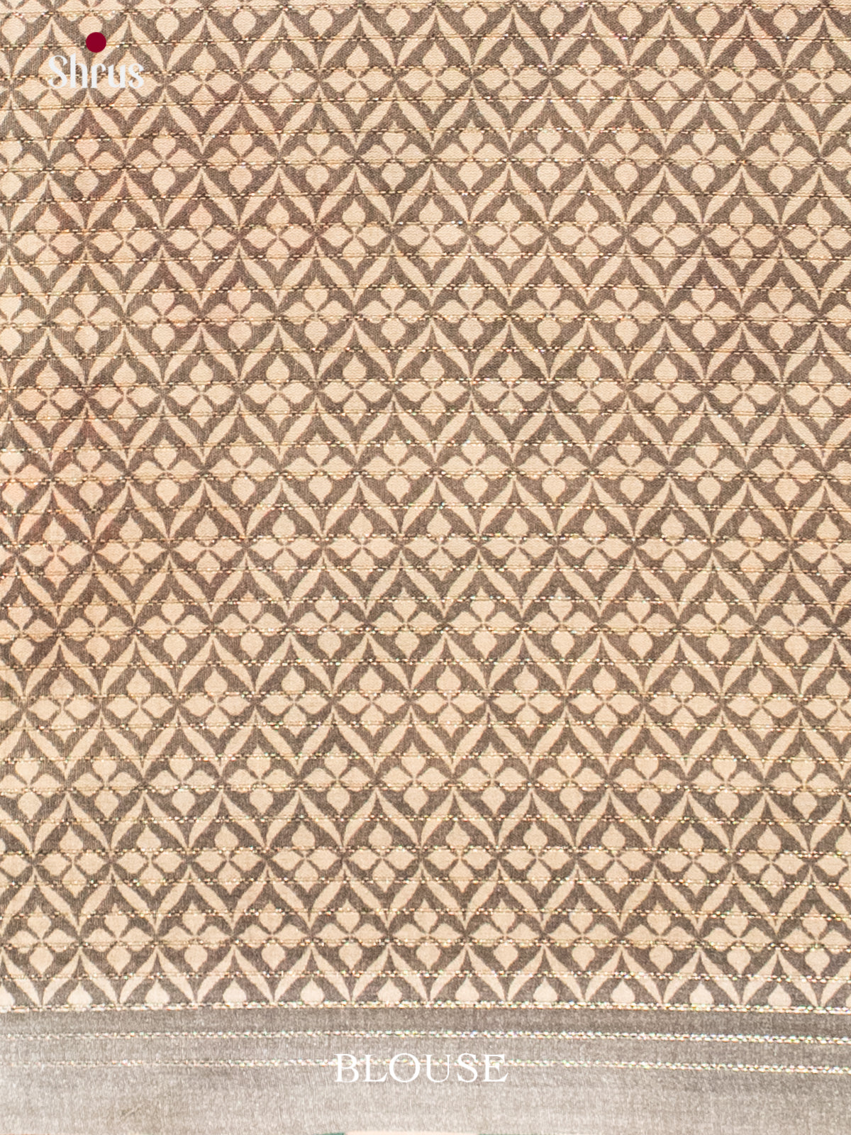 Printed Semi Tussar Saree - EI17115