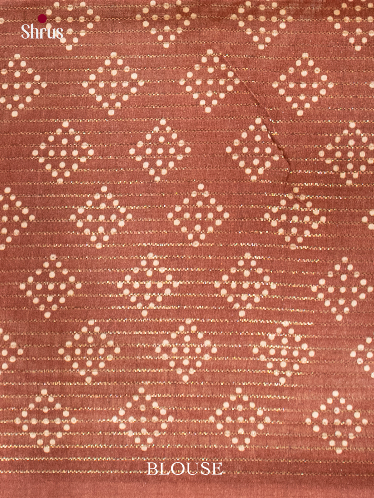 Printed Semi Tussar Saree - EI17116