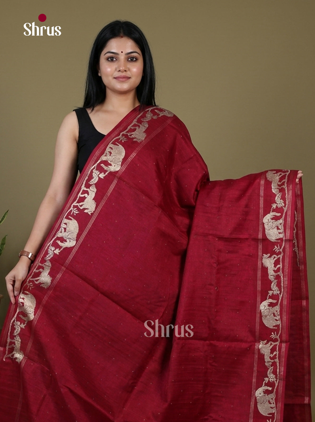 Tussar Embroidery Saree - EI17225