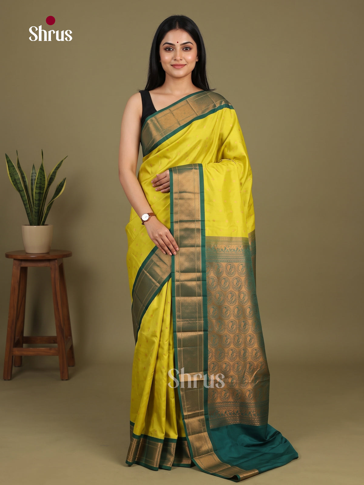 Semi Paithani Saree - EI19125
