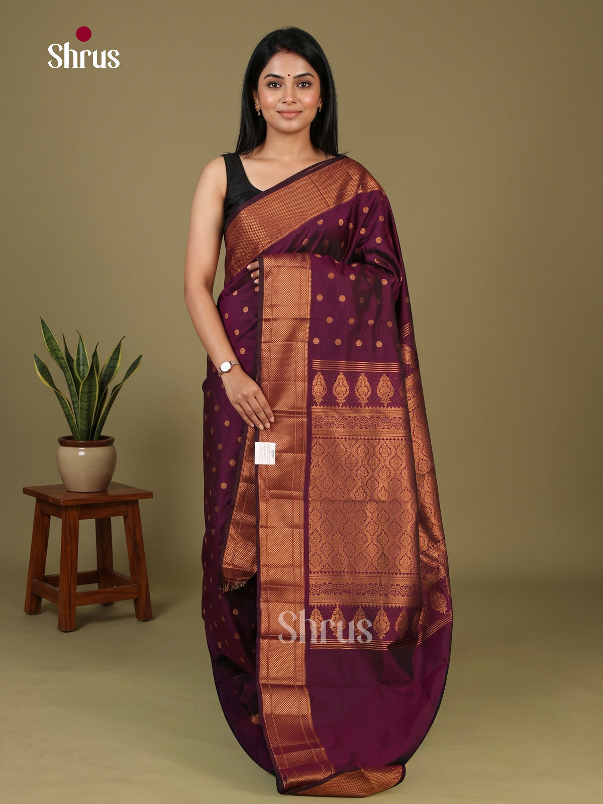 Semi Paithani Saree - EI19145