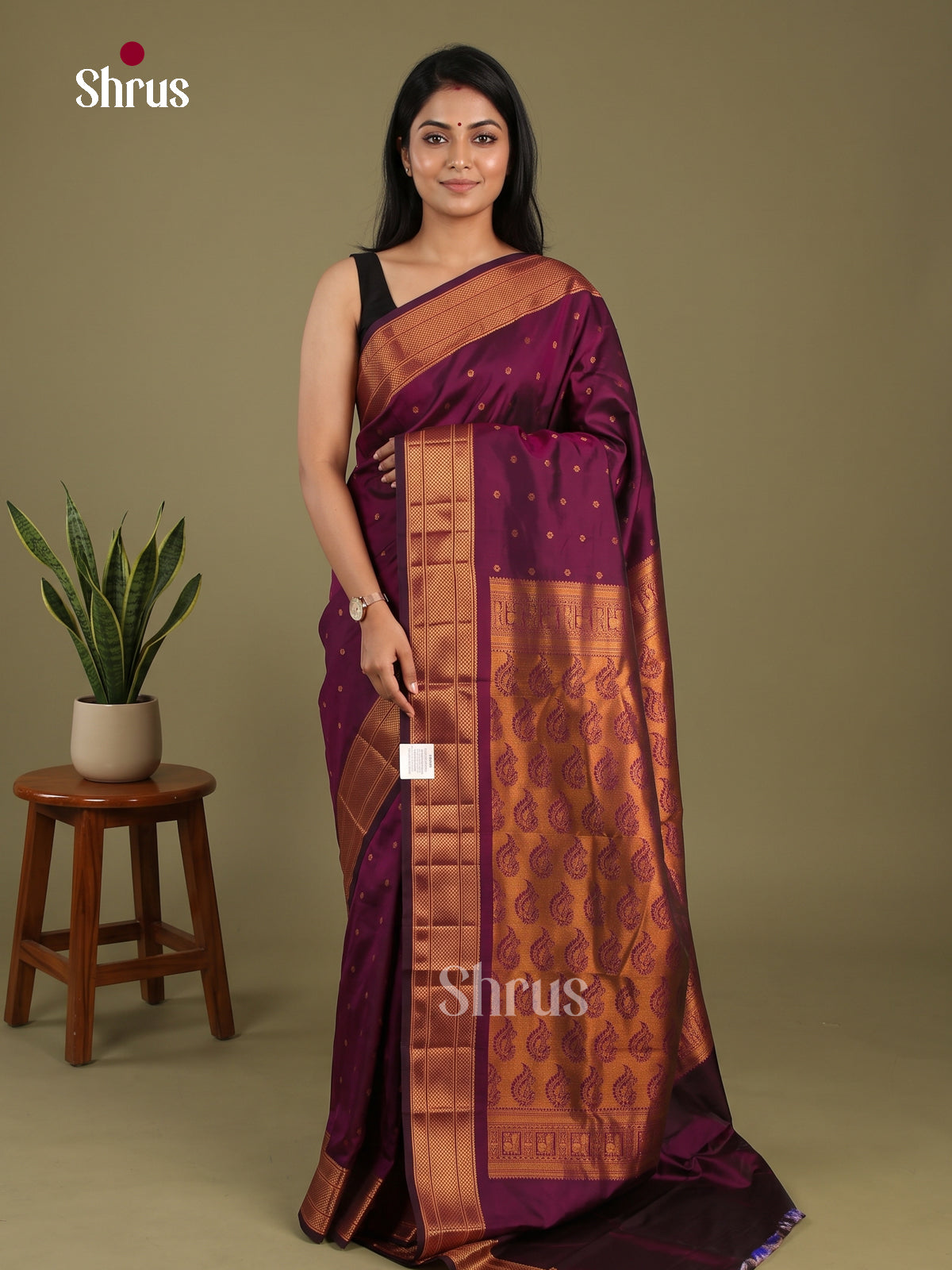 Semi Paithani Saree - EI19155