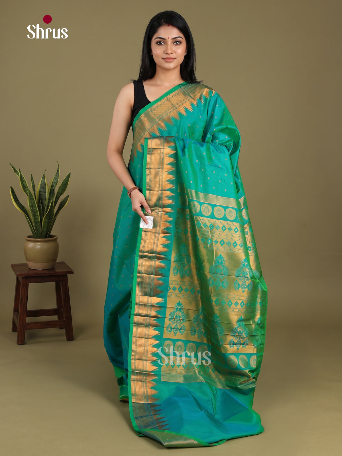 Semi Paithani Saree - EI19169