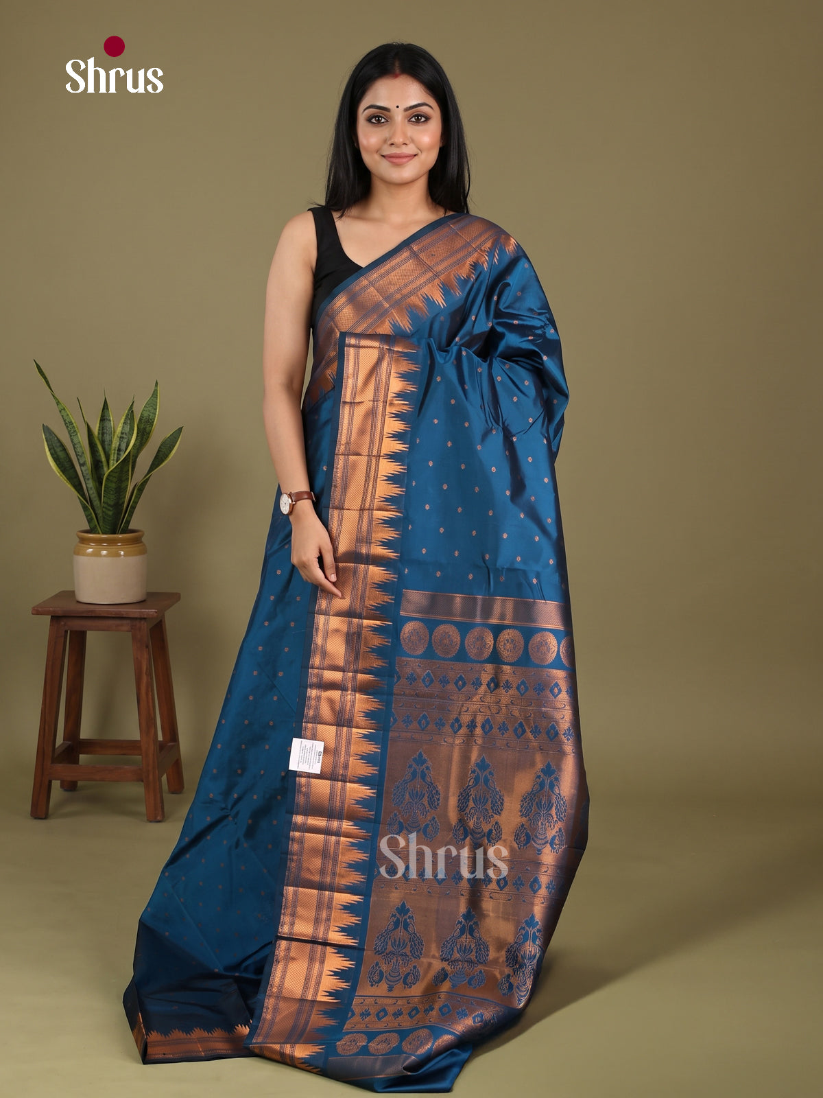 Semi Paithani Saree - EI19171