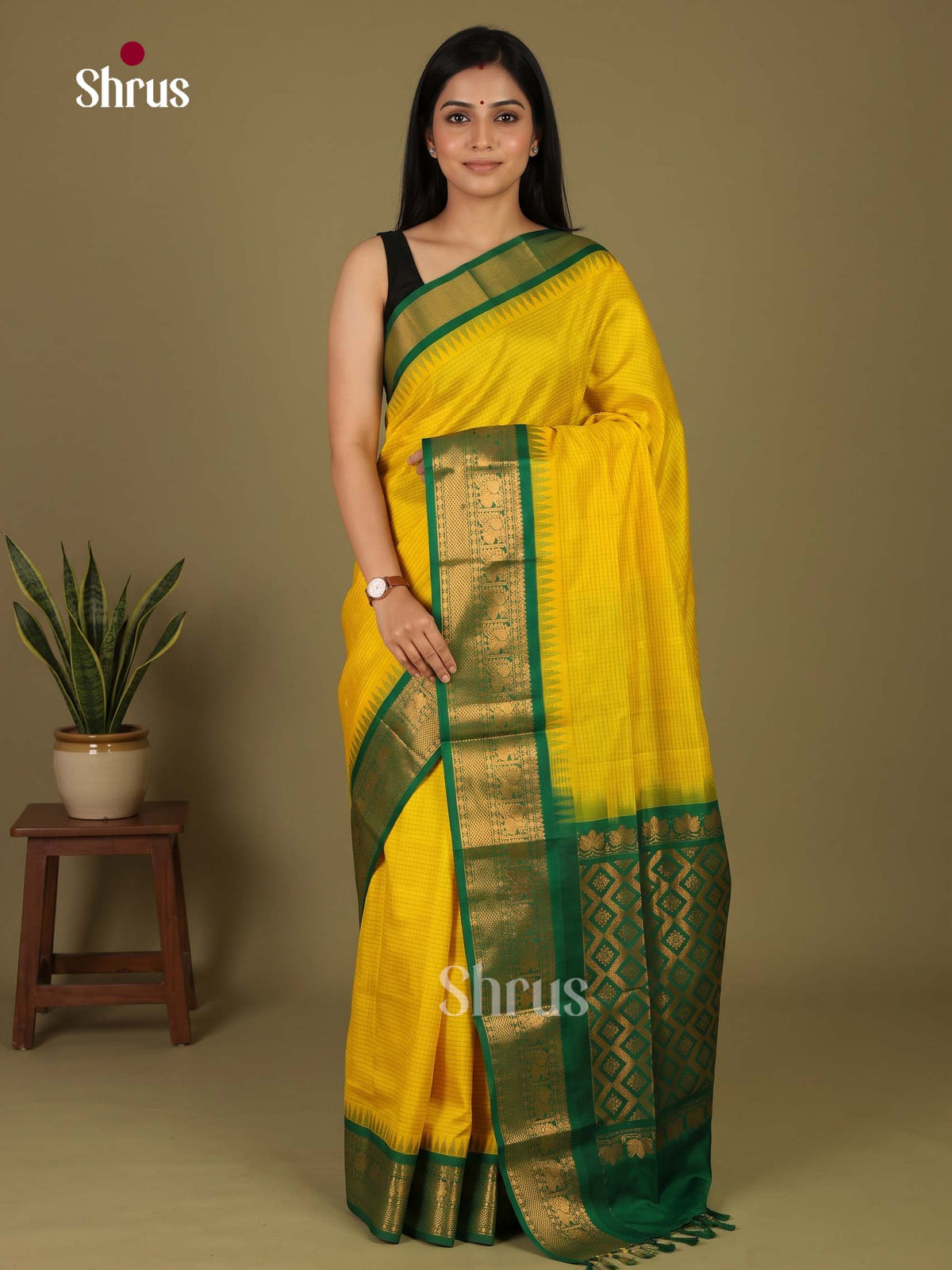 Silk Cotton Saree - EI23002