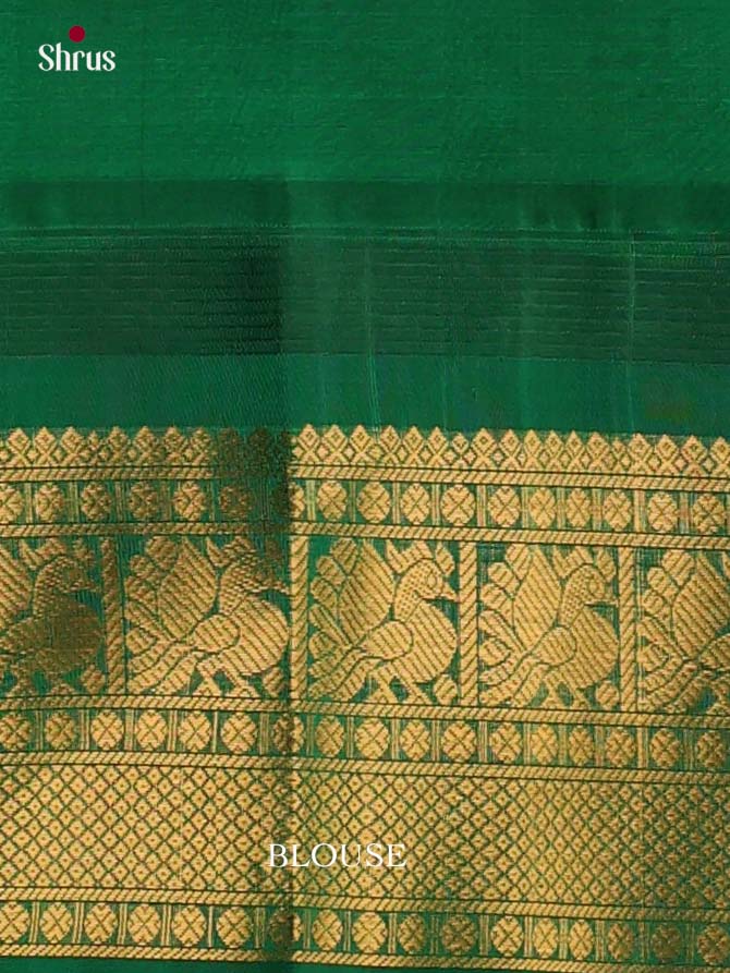 Silk Cotton Saree - EI23002