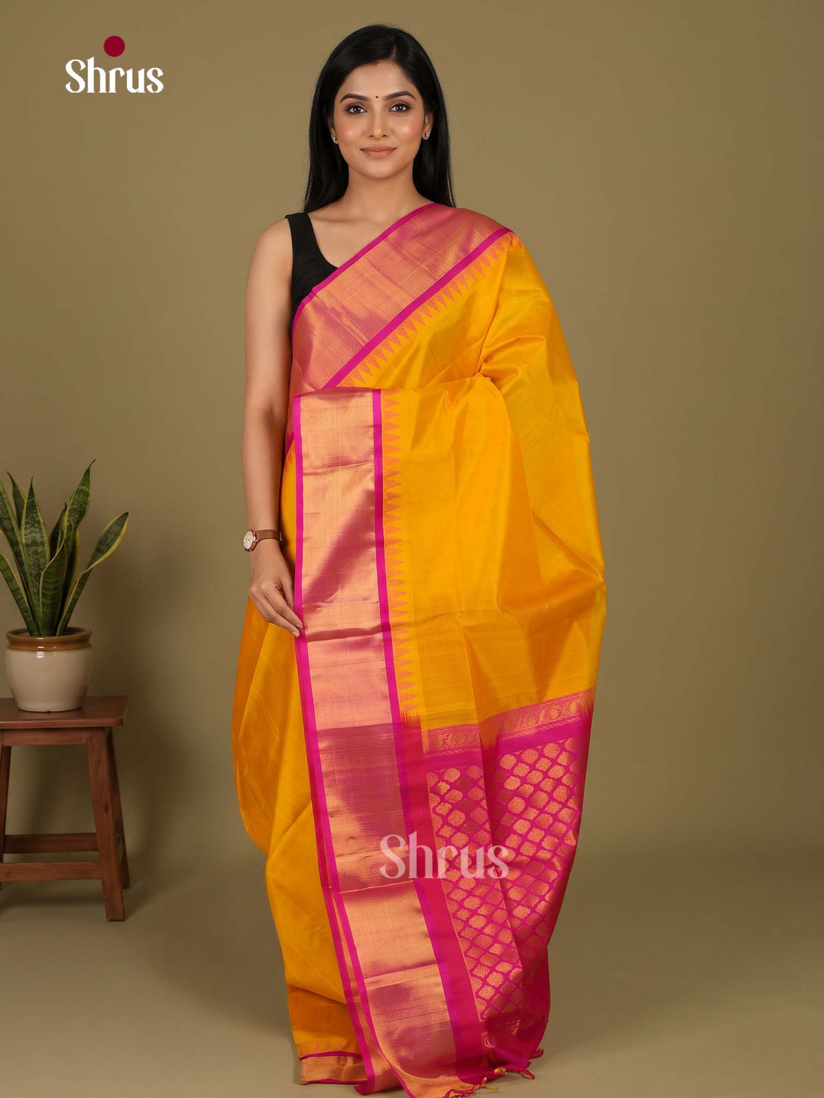 Silk Cotton Saree - EI23008